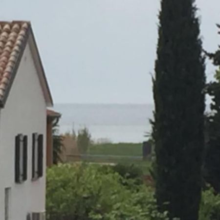 Apartment, 200M From Sea Brtonigla Exterior foto